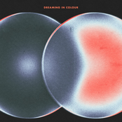 Dreaming in Colour: Out of Body