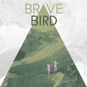 Get Over What's Right by Brave Bird