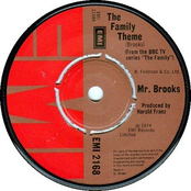 mr. brooks