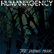 The Indigo Hour