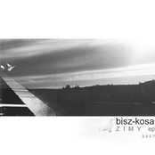 Bisz-kosa