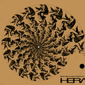 Where My Complete Beloved Is