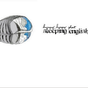 Sleeping English (128 kb)