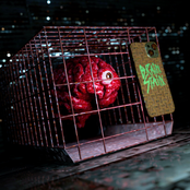 Digital Cage