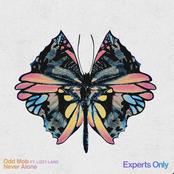 Never Alone (feat. Lizzy Land)