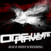 One White Raven