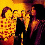 the posies