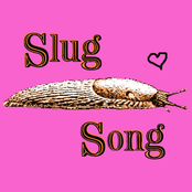 Slug Song