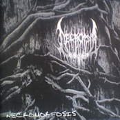 Necromorfosis
