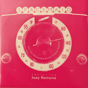 Do You Remember Rock 'n' Roll Radio?