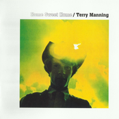 I Wanna Be Your Man by Terry Manning