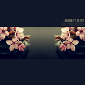 Ambient Sleep