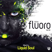 Full On Fluoro, Vol. 4 (Mixed by Liquid Soul)
