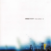 Transmission by Angel Theory