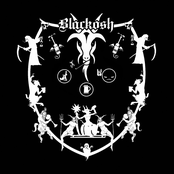 Kurvy, Chlast a Black Metal