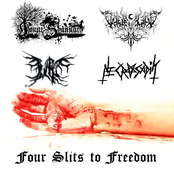 Four Slits to Freedom