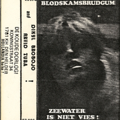 Zeewater Is Niet Vies ! / Blodskamsbrudgum