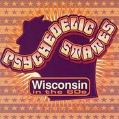 Psychedelic States: Wisconsin In The 60s