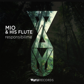 Responsibilime