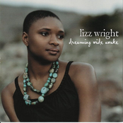 Lizz Wright: Dreaming Wide Awake