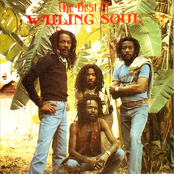 Joy Within Your Heart by Wailing Souls