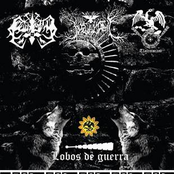 Lobos de Guerra