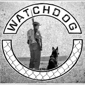 Watchdog