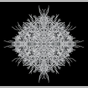 Curse You, Evil Clown