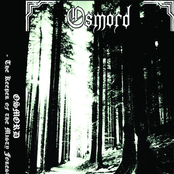 The Keeper of the Misty Forest