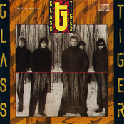 Glass Tiger: The Thin Red Line