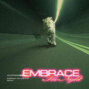 EMBRACE THE NIGHT