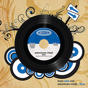 American Vinyl - Blue