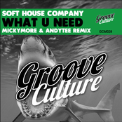 What You Need (Micky More, Andy Tee Remix)