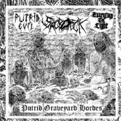 Putrid Graveyard Hordes