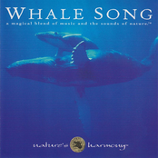 Whale Song