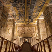 in loving memory of cc (deluxe)