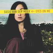 Different Feelings by Susie Van Der Meer