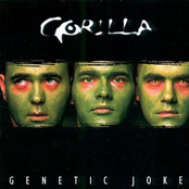 Genetic Joke by Gorilla