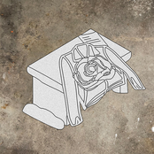 Sweet Rose Green Winter Desk Top