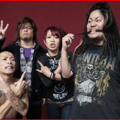 maximum the hormone