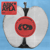 Don't Look for Answers