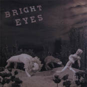 Messenger Bird's Song by Bright Eyes