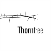 Thorn Tree