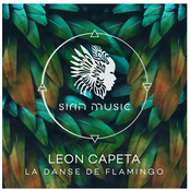 La Danse de Flamingo