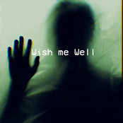 Wish Me Well / Strangers Lost