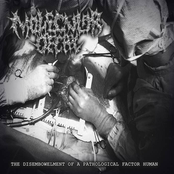 The disembowelment of a pathological factor human