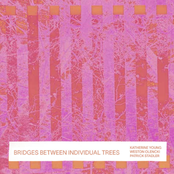 Bridges Between Individual Trees