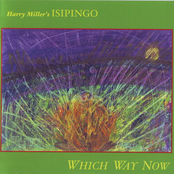 Which Way Now by Harry Miller's Isipingo