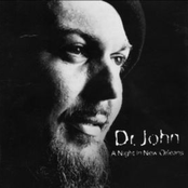 the very best of dr. john