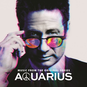 David Duchovny: Aquarius (Music From The Original Series)